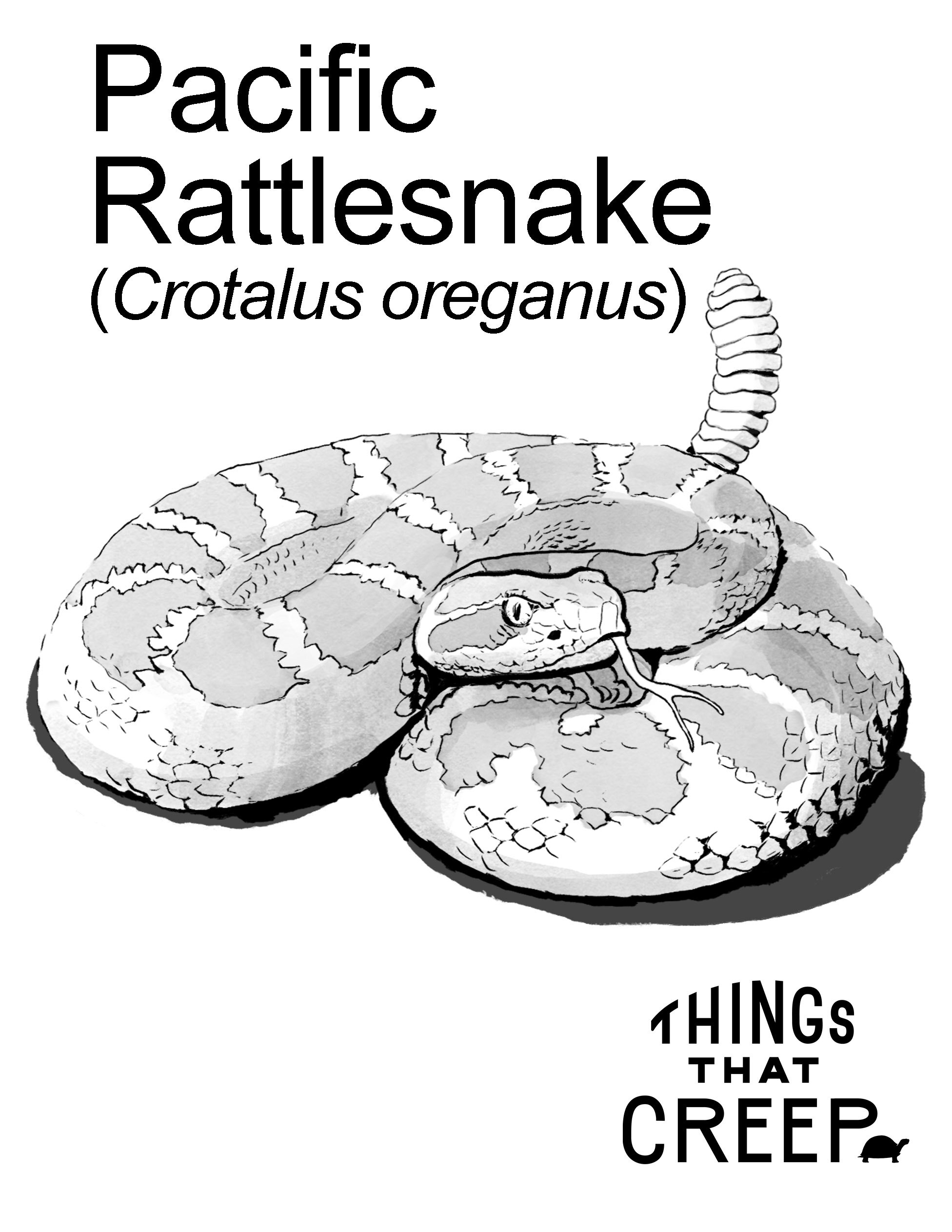 Coloring sheets â things that creep