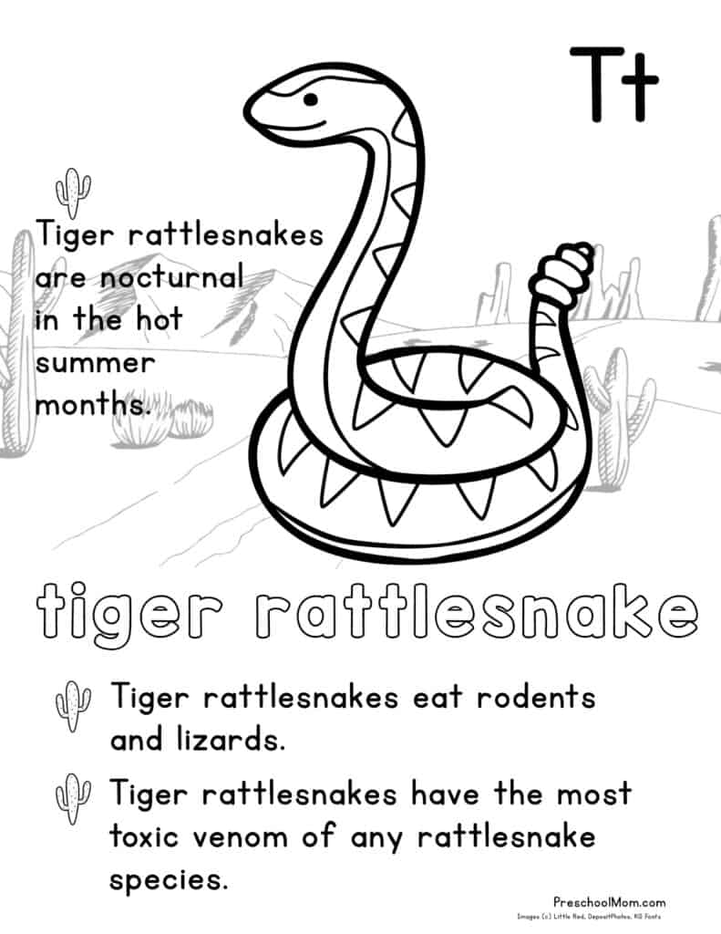 Desert animal coloring pages