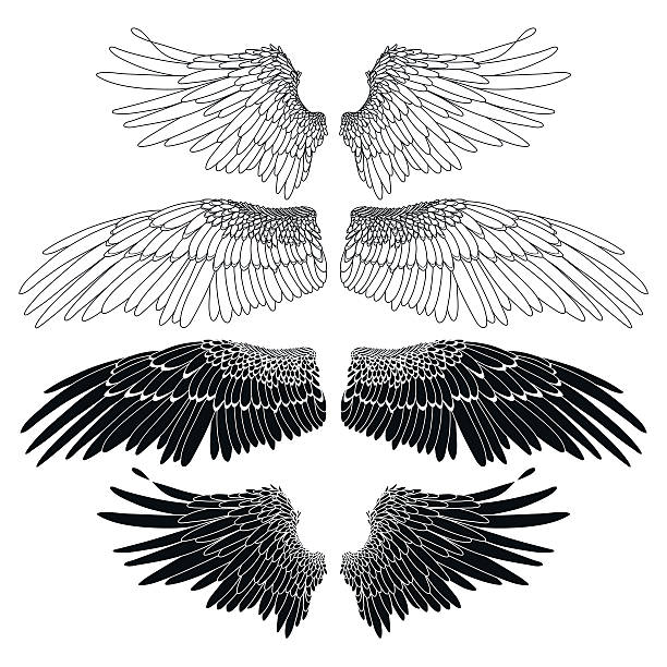 Raven wings stock illustrations royalty