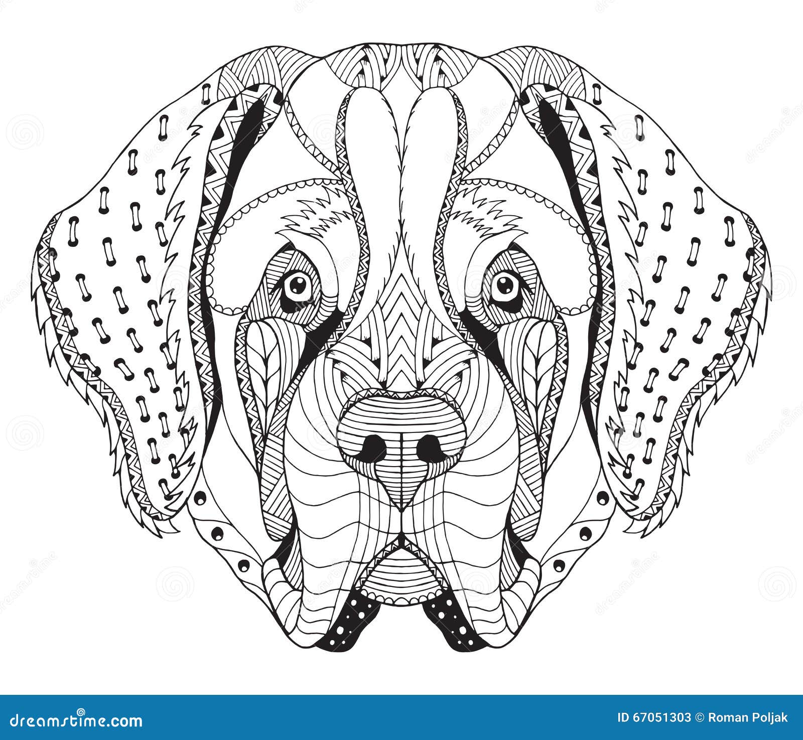 Saint bernard dog zentangle stylized head freehand pencil hand stock vector