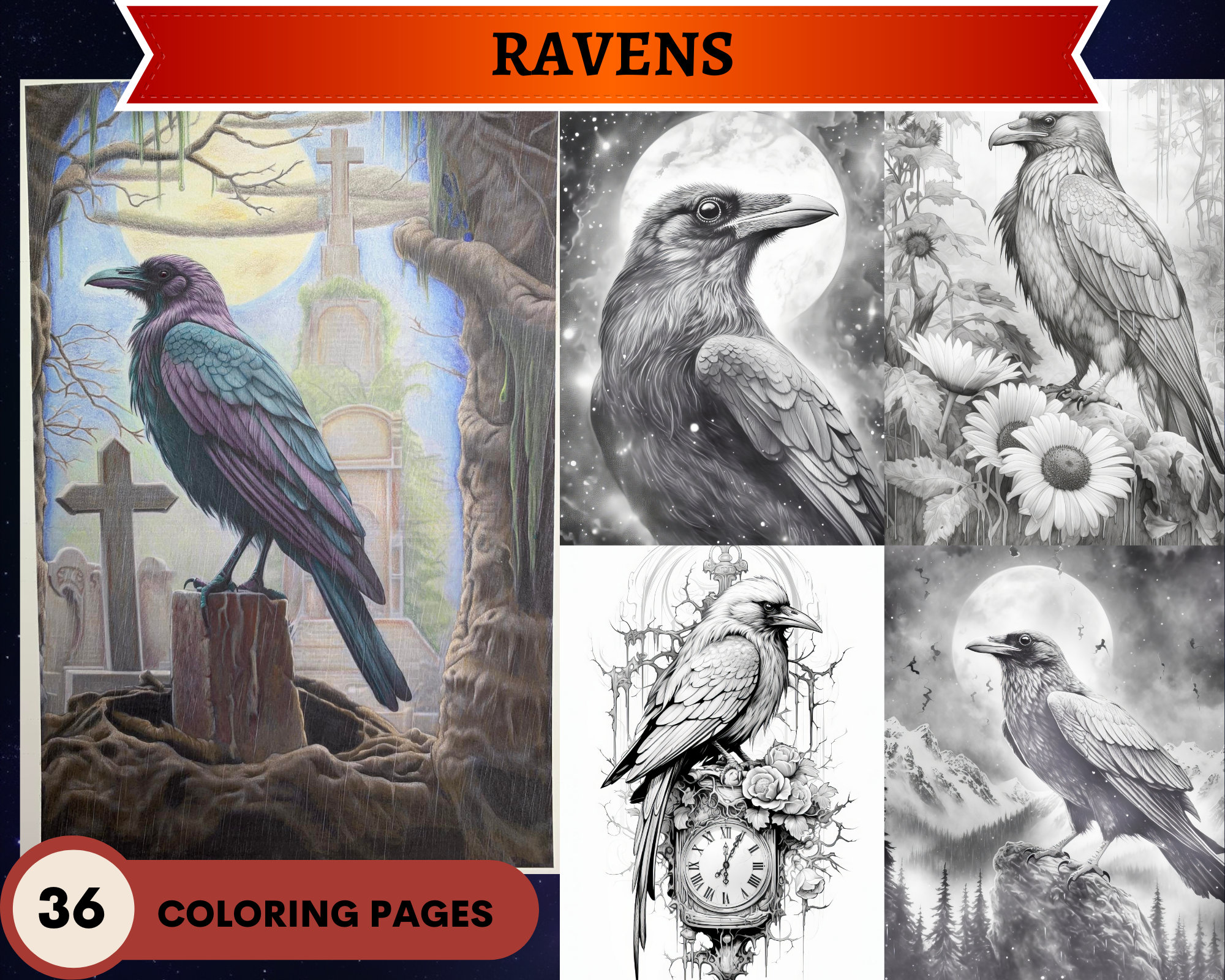 Raven colouring page