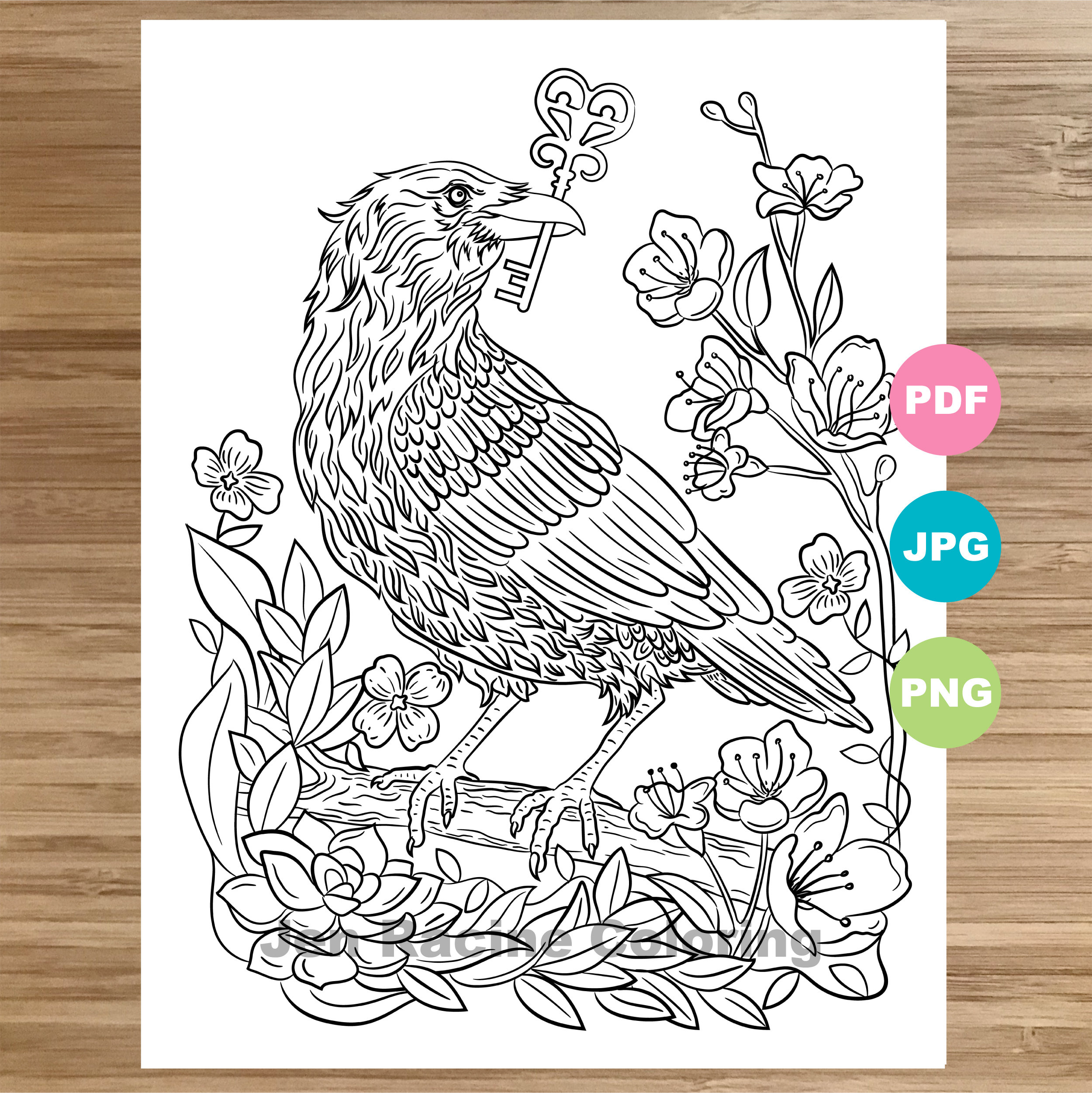 Raven colouring page