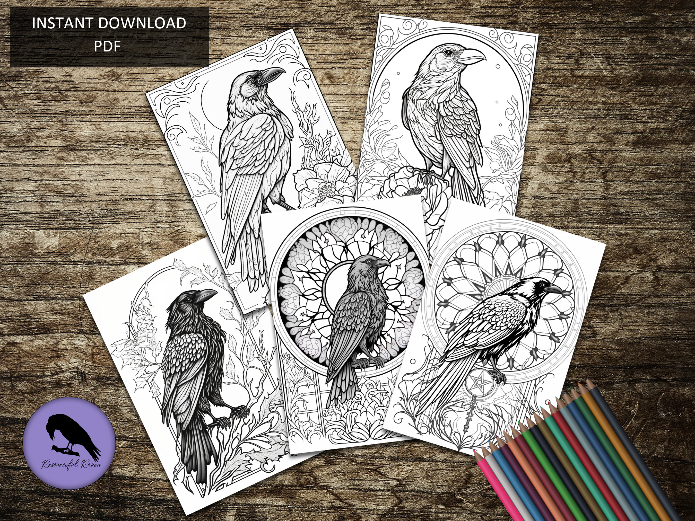 Raven colouring page