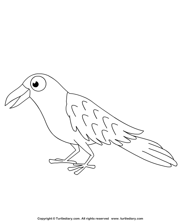 Raven coloring sheet turtle diary