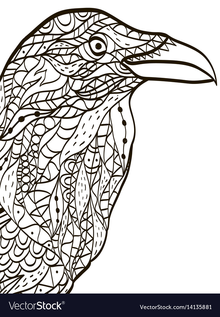 Bird head raven coloring book for adults vector image