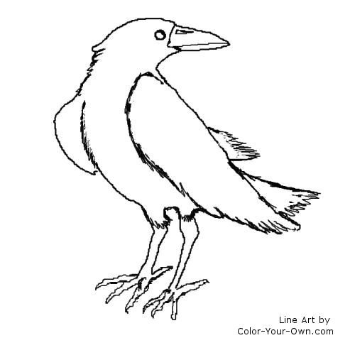 Raven coloring page