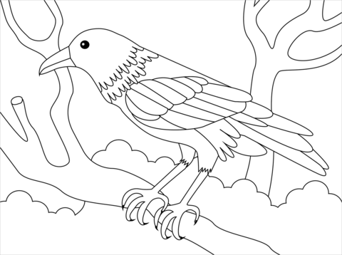 Raven coloring page free printable coloring pages