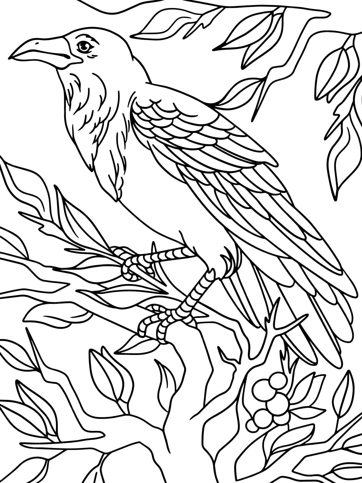 Premium vector raven on a branch children coloring book vector