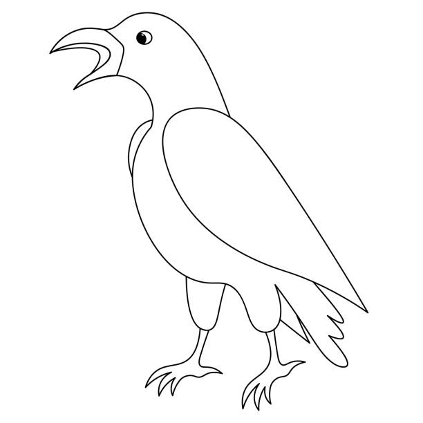 Raven sketch coloring book vector illustration the mystical black bird croaks outline on an isolated background halloween symbol doodle style messenger of the underworld scavenger bird creation associated with signs and superstitions