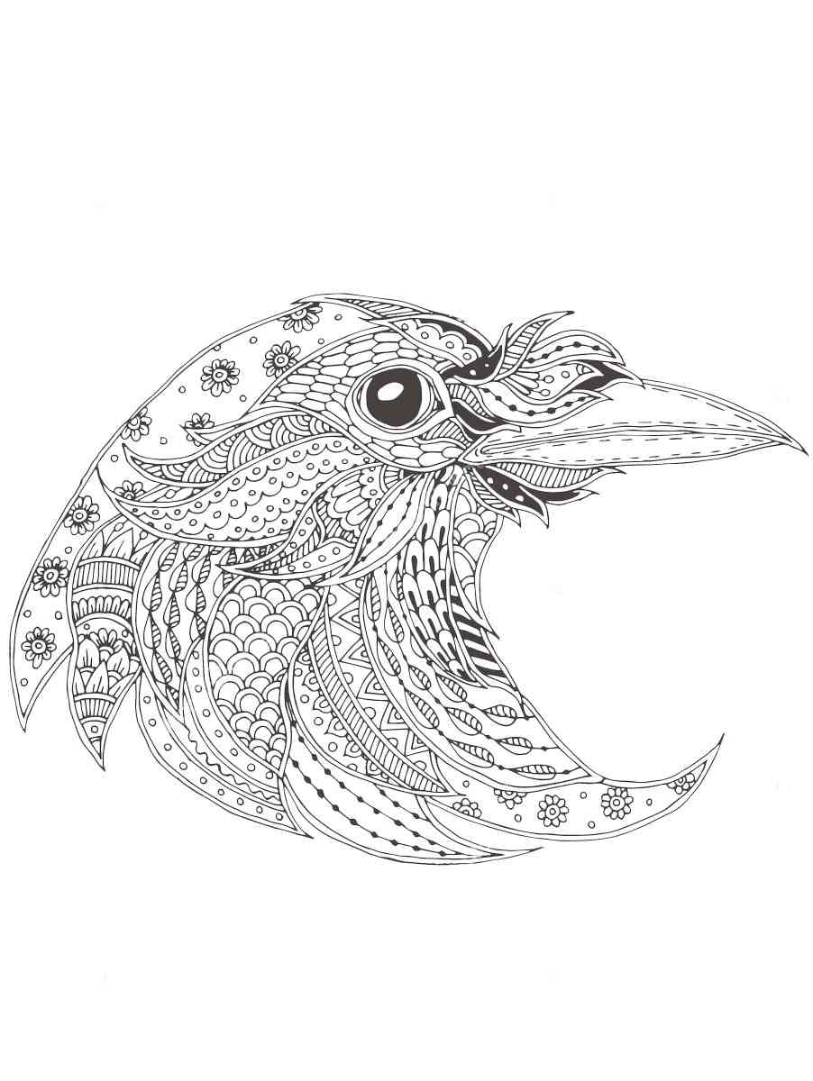 Crow coloring pages for adults