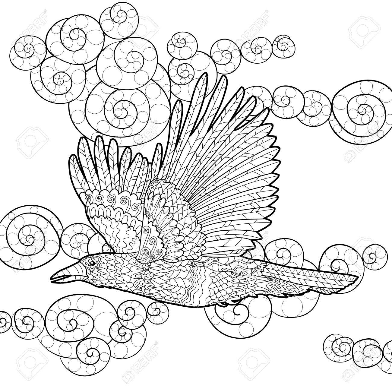 Flying raven with high details adult anti