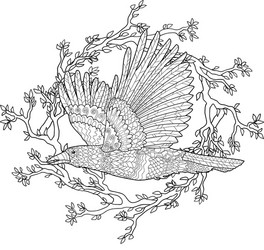 Raven coloring book vector images over