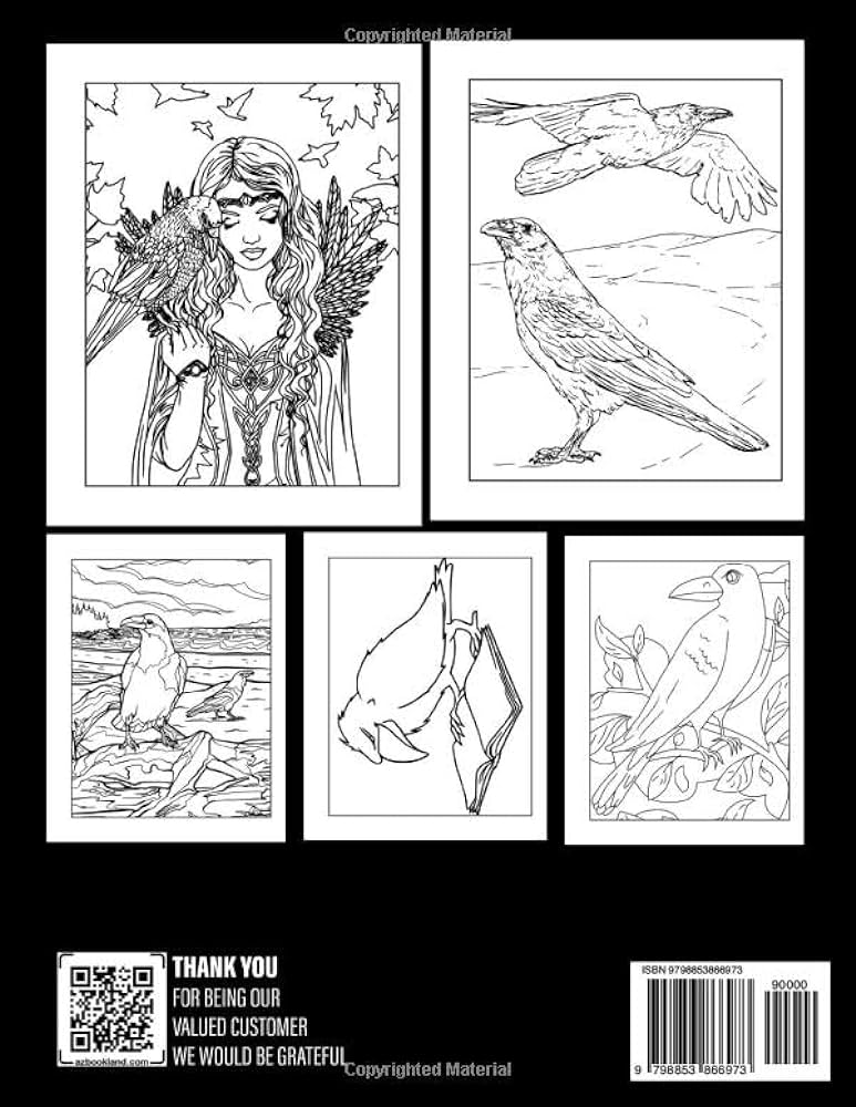 Raven coloring book unleash your creativity in this artistic coloring adventure diaz joyce books