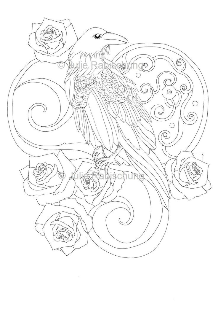 Raven coloring pageprintable raven coloring pagesraven and