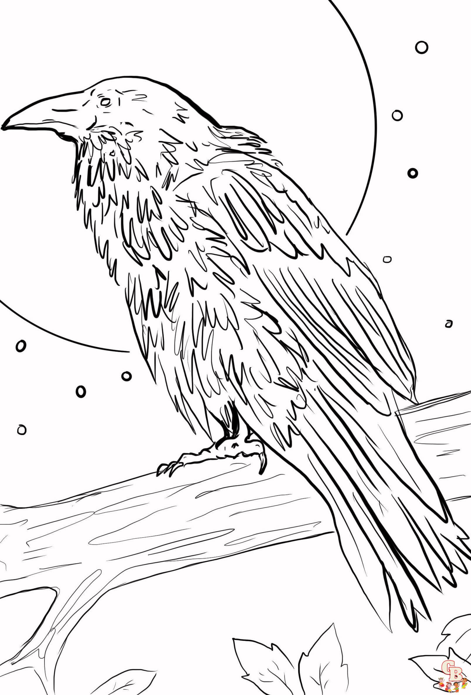 Printable raven coloring pages free for kids and adults