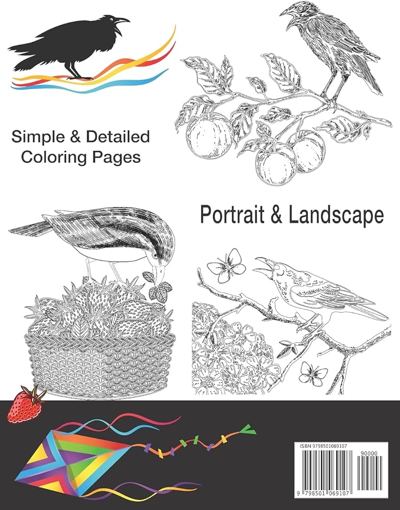 Ravin about ravens adult coloring book by johnson chris