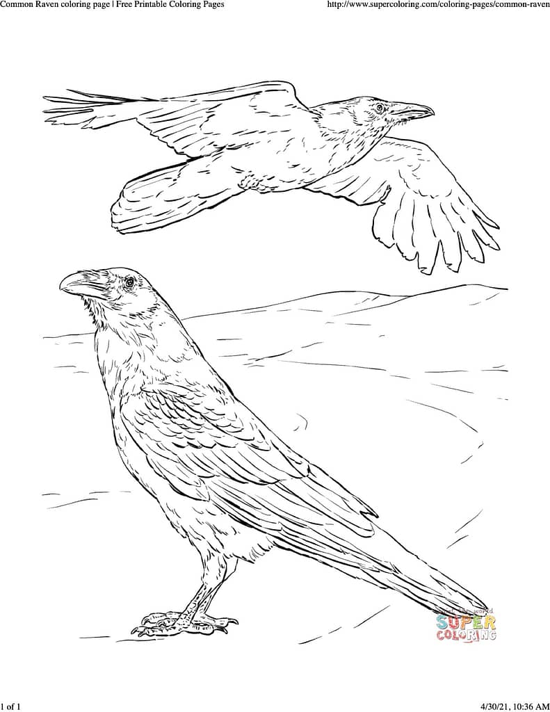 Crow art ideas