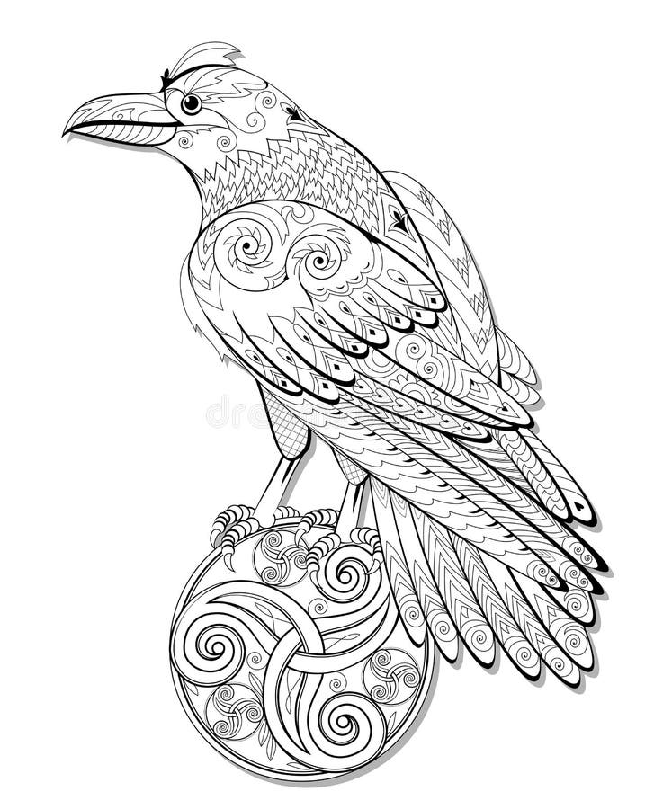 Crow coloring stock illustrations â crow coloring stock illustrations vectors clipart