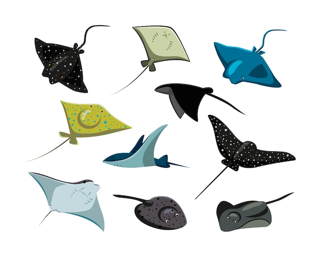 Imãgen de pez mantarraya