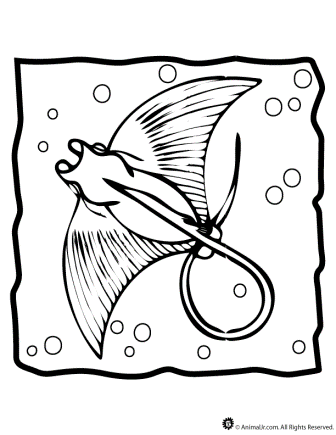 Dibujos de manta rayas