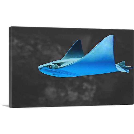 Artcanvas manta raya azul mantarraya en el lienzo oceãnico impresiãn de arte