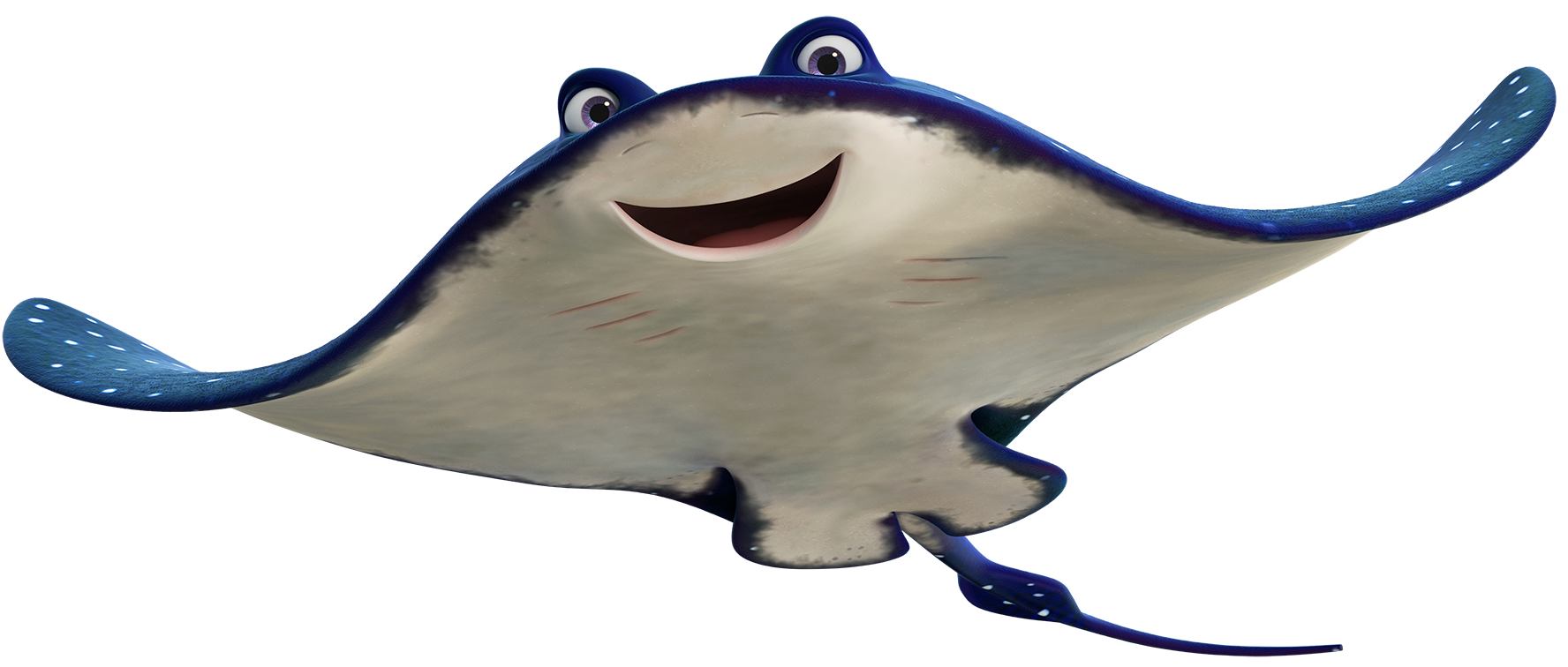 El sr raya wiki