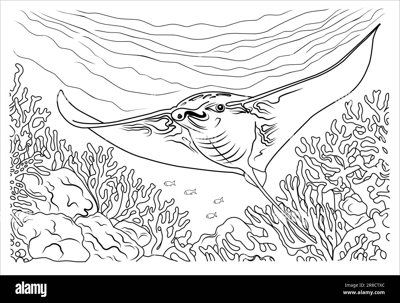 Deep sea manta ray coloring page cartoon stingray linear illustration for coloring stock vector image art