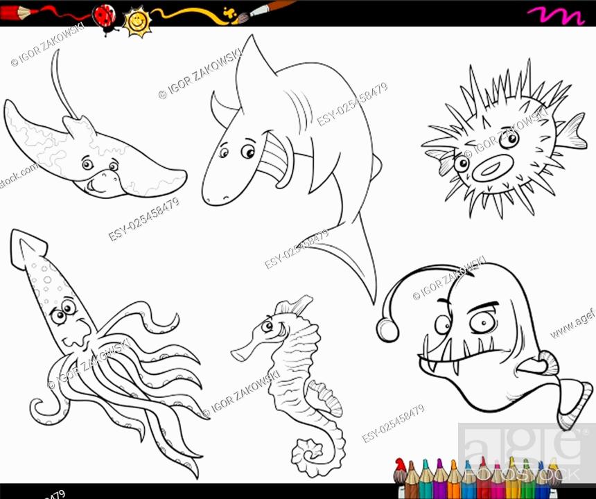 Coloring book cartoon illustration of sea life animals characters set foto de stock vector low budget royalty free pic y