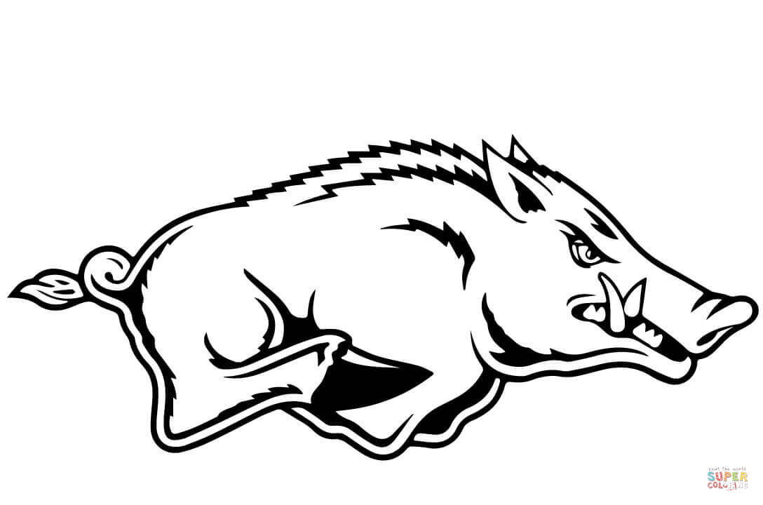 Razorback coloring page free printable coloring pages