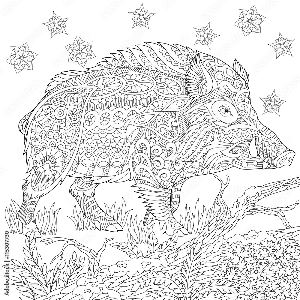 Zentangle stylized cartoon wild boar razorback warthog hog pig hand drawn sketch for adult antistress coloring book page t