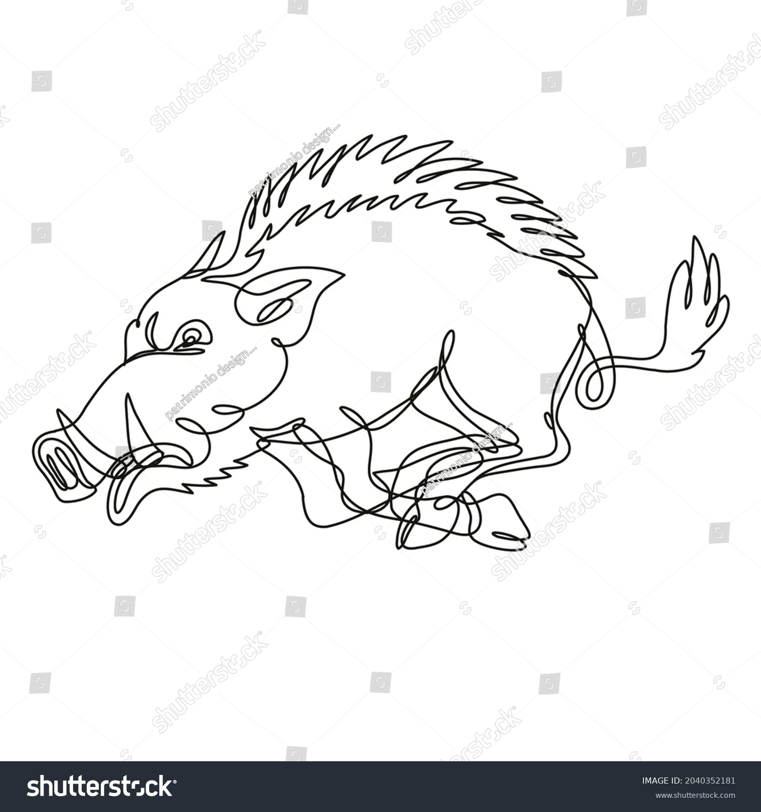 Razorback drawings images stock photos d objects vectors
