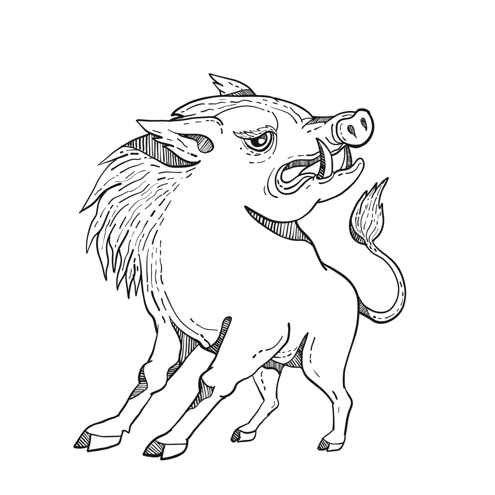 Razorback doodle art black and white on