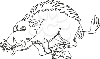 Razorback images and royalty