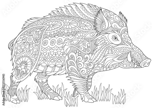 Stylized wild boar razorback warthog hog pig freehand sketch for adult anti stress coloring book page with doodle and zentangle elements vector
