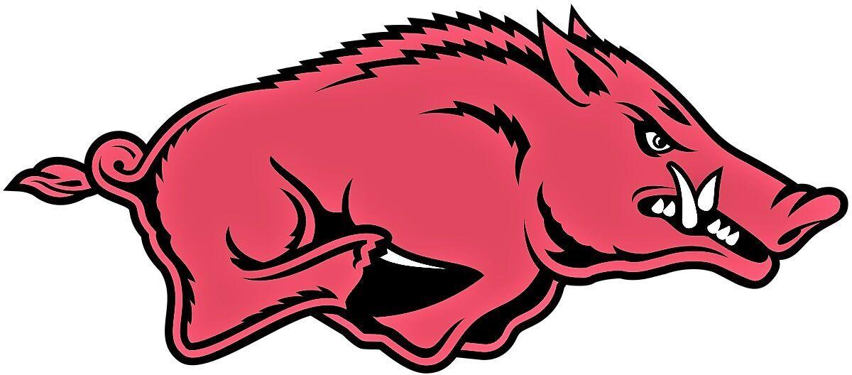 Razorbacks roundup sports