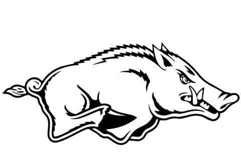 Razorback coloring page from wild boars category select from printable crafts of cartoons natuâ razorback painting razorbacks arkansas razorbacks crafts