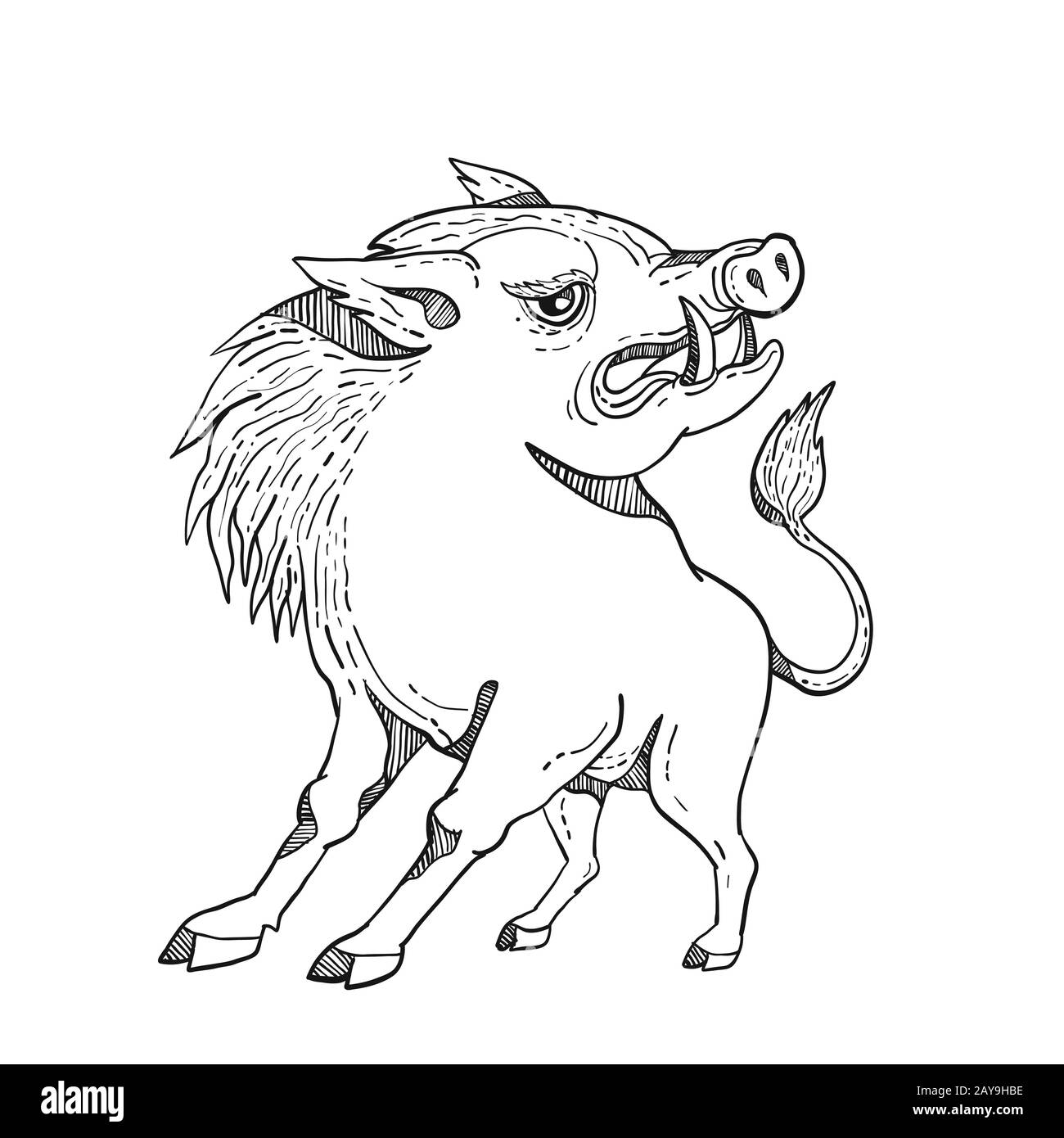 Razorback doodle art black and white stock photo