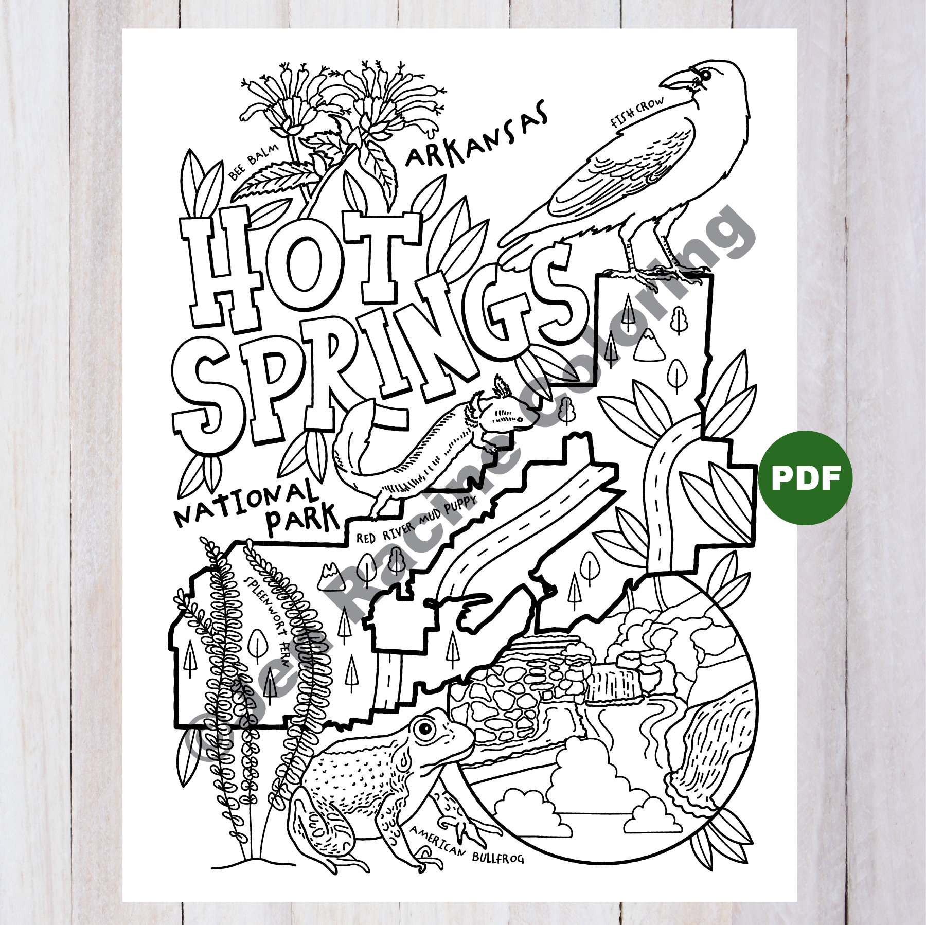 Coloring arkansas