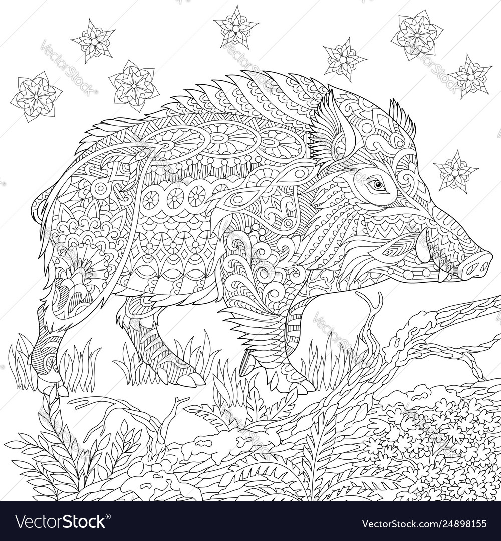 Wild boar adult coloring page royalty free vector image