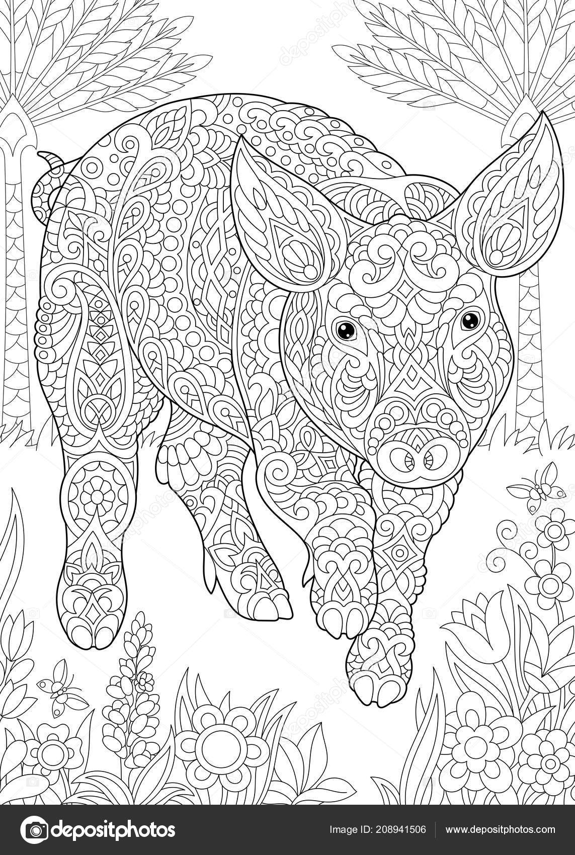 Coloring page coloring book colouring picture pig cute piggy stock vector by sybirko