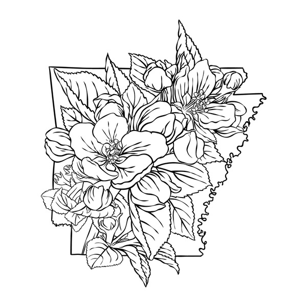Arkansas drawing images stock photos d objects vectors