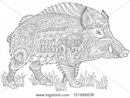 Razorback images illustrations vectors free