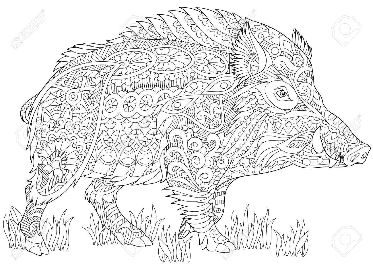 Stylized wild boar razorback warthog hog pig freehand sketch for adult anti stress coloring book page with doodle and zentangle elements royalty free svg cliparts vectors and stock illustration image