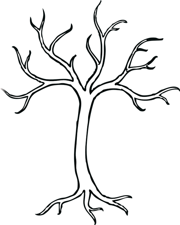 Pin by laura morgan on hirrs craft class tree coloring page be tree tree drawing