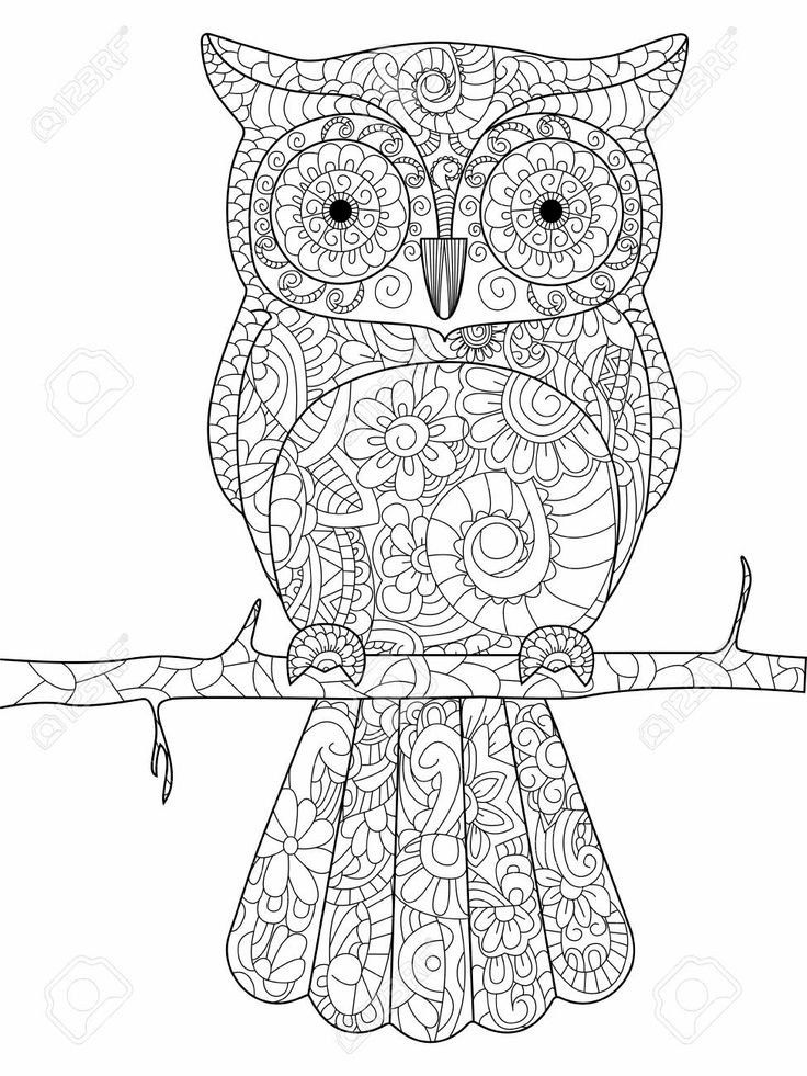 Bãºho en un libro para colorear rama de adultos ilustraciãn antiestrãs colorear para adultos pãâ owl coloring pages animal coloring pages mermaid coloring book