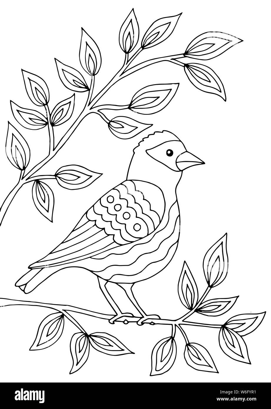 Bird song book hi