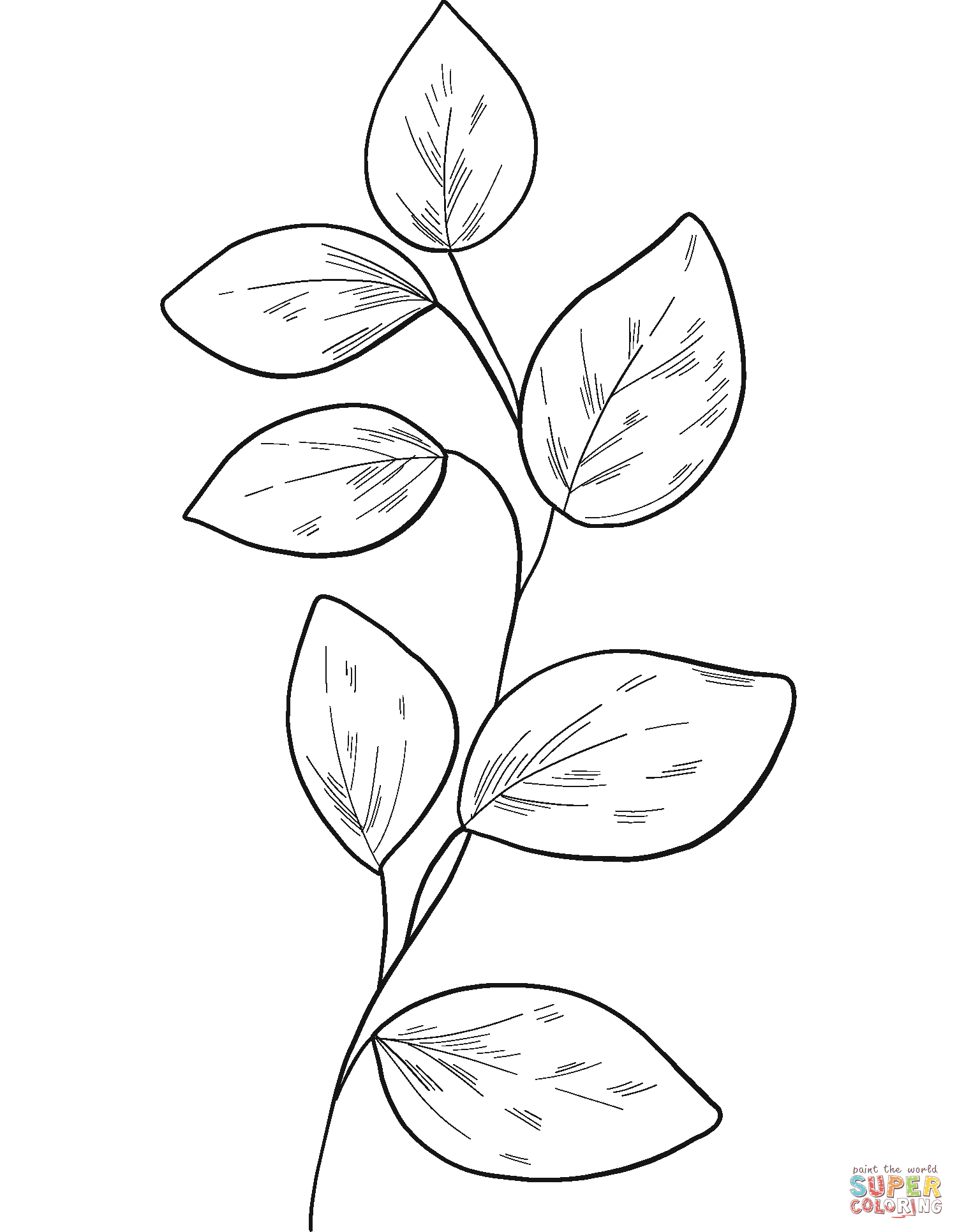 Eucalyptus branch coloring page free printable coloring pages
