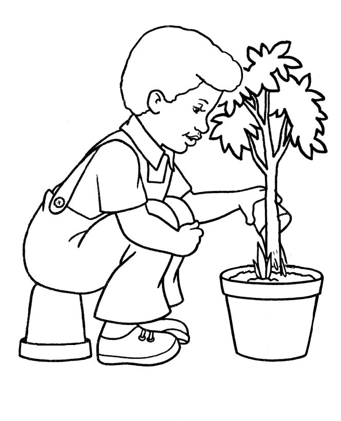 Arbor day tree coloring pages