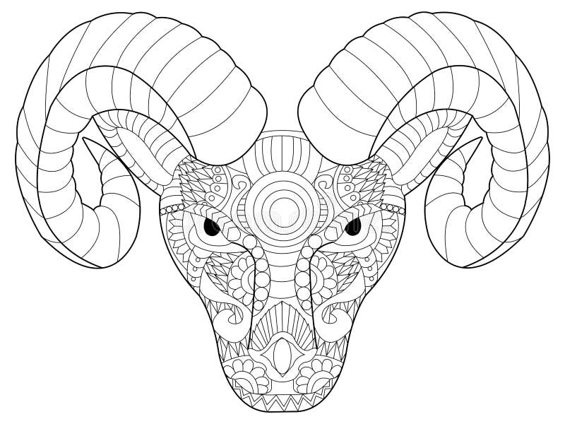 Ram coloring stock illustrations â ram coloring stock illustrations vectors clipart