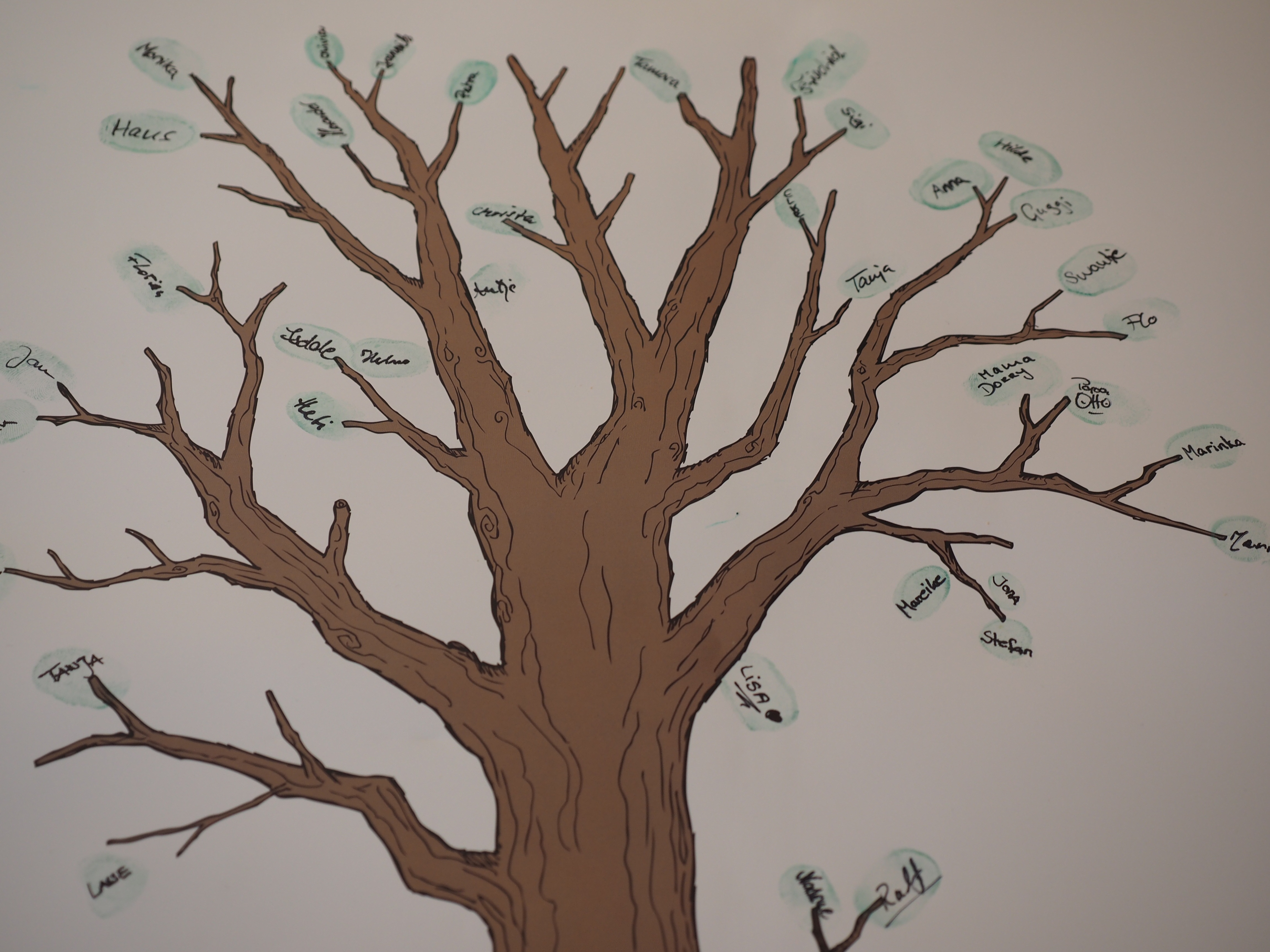 Free images branch wood leaf flower botany flora twig tribe art sketch drawing family tree plant stem ancestry tree friends x